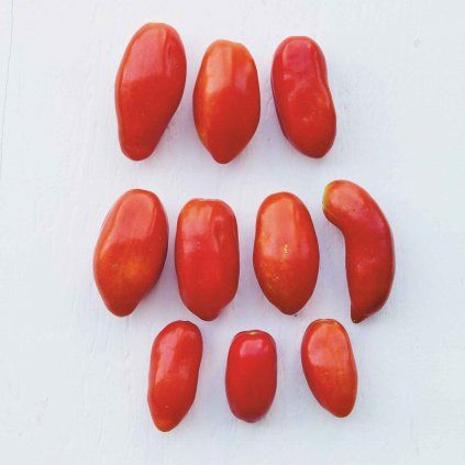 372 rajce san marzano
