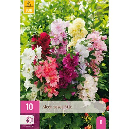 Topolovka ROSEA MIX ks 10 ks