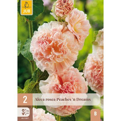 Topolovka ROSEA PEACHES 'N' DREAMS 2 ks