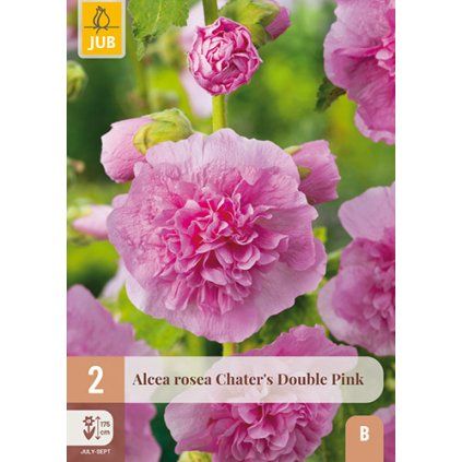 Topolovka ROSEA PINK 2 ks