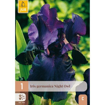 Duhovka GERMANICA NIGHT OWL 1 ks