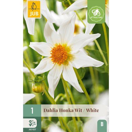Jiřina HONKA WHITE 1 ks